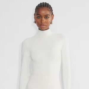 Aritzia Babaton Contour Turtleneck